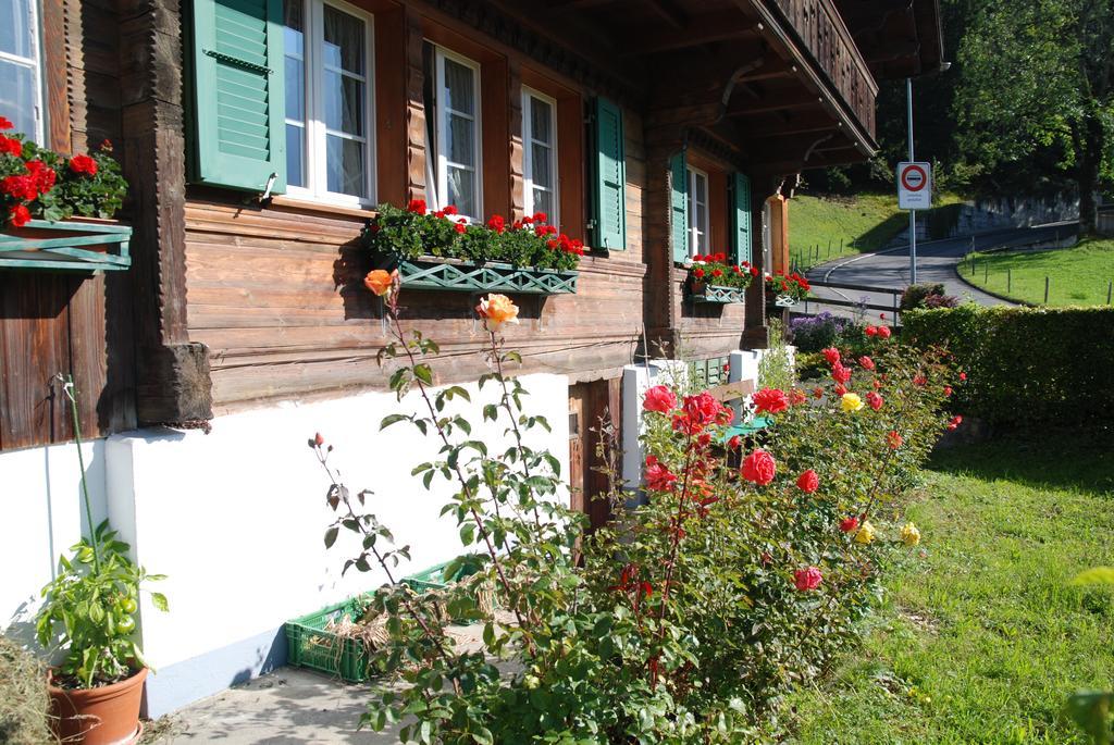 Chalet Tuftbach Apartment กรินเดลวัลด์ ภายนอก รูปภาพ
