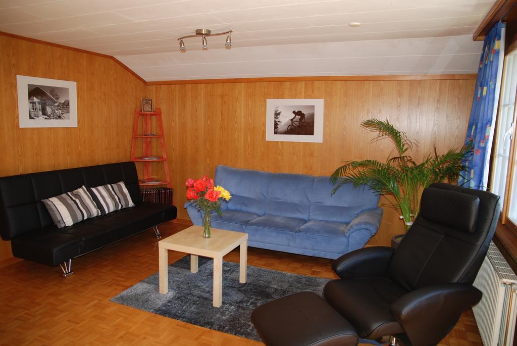 Chalet Tuftbach Apartment กรินเดลวัลด์ ห้อง รูปภาพ